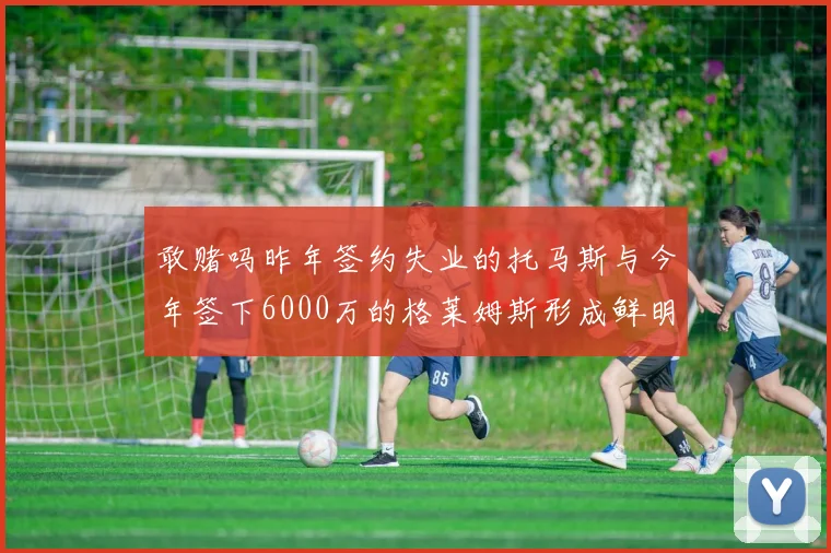 敢赌吗昨年签约失业的托马斯与今年签下6000万的格莱姆斯形成鲜明对比